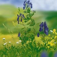 简单的花朵+风景//唯美//好看_微信头像大全图片