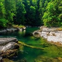 简单的花朵+风景//唯美//好看_微信头像大全图片