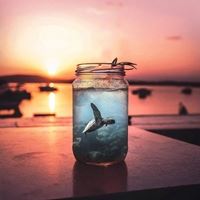 充满治愈系的一组风景头像//治愈系_微信头像大全图片