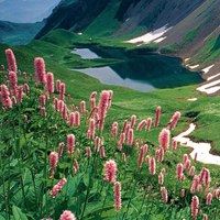 充满治愈系的一组风景头像//治愈系_微信头像大全图片