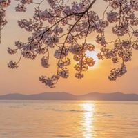 充满治愈系的一组风景头像//治愈系_微信头像大全图片