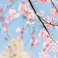 充满治愈系的一组风景头像//治愈系_微信头像大全图片