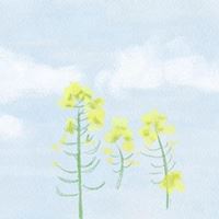 能够带来幸运的唯美头像//霉运已清零，幸运唯美_微信头像大全图片