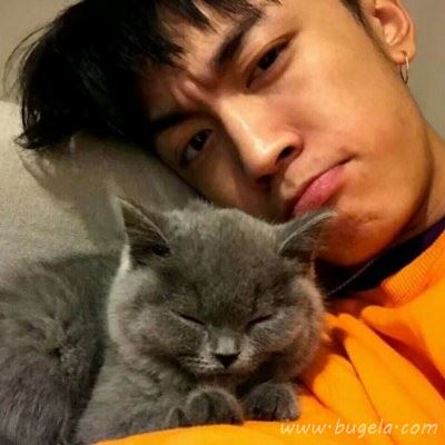 黄色系韩版男生头像图片