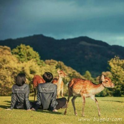 唯美一对QQ情侣头像图片