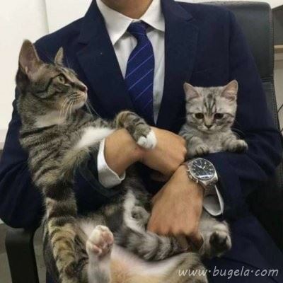 成熟男人有个性头像 三十四十岁左右男人微信头像图片