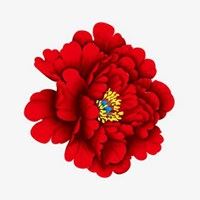 大红牡丹花微信头像大全_微信头像大全图片