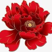 大红牡丹花微信头像大全_微信头像大全图片
