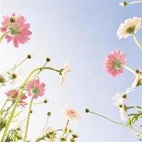 女人微信头像带来好运花朵_微信头像大全图片