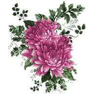 女人最适合的微信头像成熟牡丹花头像_微信头像大全图片