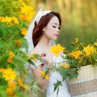 女生唯美头像鲜花大全_微信头像大全图片