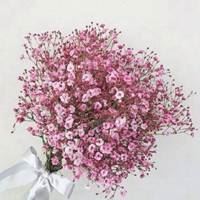 带来好运的微信头像花幸运转运女士_微信头像大全图片