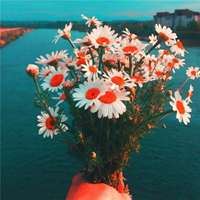 带来平安健康富贵的微信头像花草_微信头像大全图片