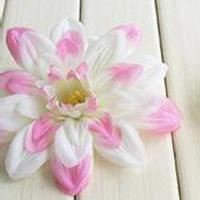 清新花朵头像纯色素雅花朵_微信头像大全图片