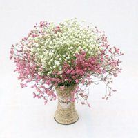 漂亮大束花瓶真花头像_微信头像大全图片