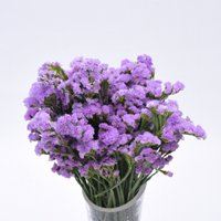 漂亮大束花瓶真花头像_微信头像大全图片