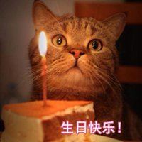 对女儿的生日唯美句子头像_微信头像大全图片