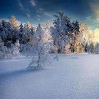 晨曦唯美雪景头像_微信头像大全图片