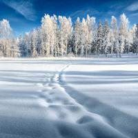 晨曦唯美雪景头像_微信头像大全图片
