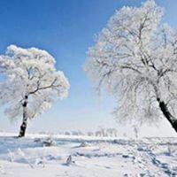 晨曦唯美雪景头像_微信头像大全图片