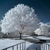 晨曦唯美雪景头像_微信头像大全图片