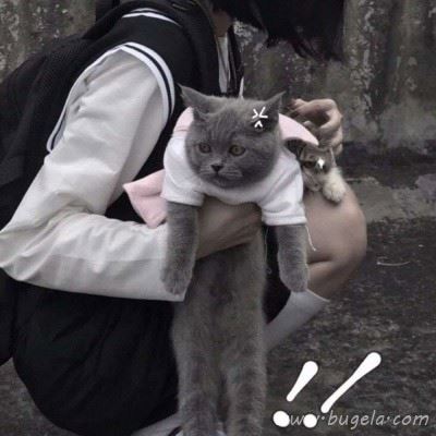 学院风半身微信头像图片