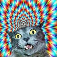 让人蛋疼的重口味动漫_动漫头像_爱扣扣网图片