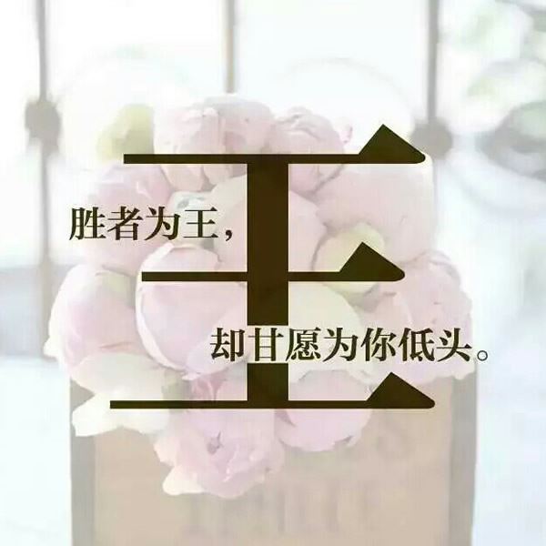 带自己姓氏的头像图片