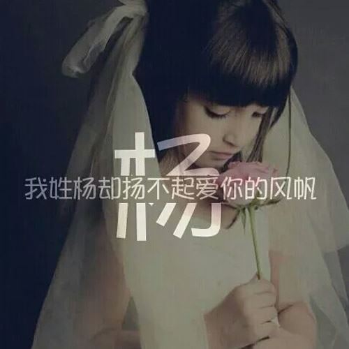 带自己姓氏的头像图片