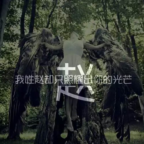带自己姓氏的头像图片