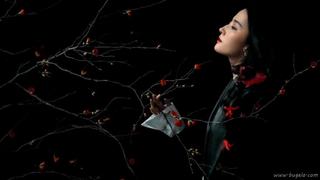 刘亦菲优雅魅力繁花时尚迷人写真图片