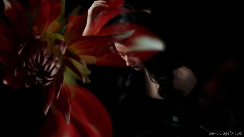 刘亦菲优雅魅力繁花时尚迷人写真图片