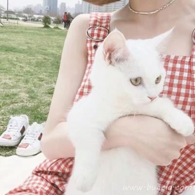 2021最火爆的女生小可爱QQ头像图片