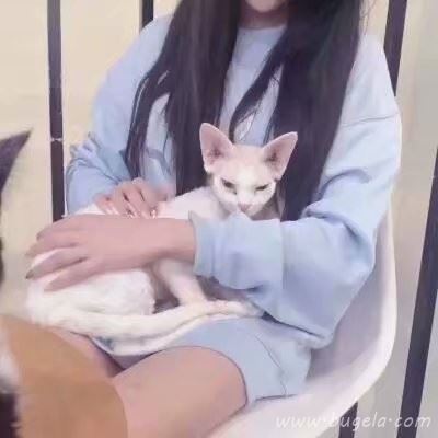 可爱女生部位头像2021最火爆图片