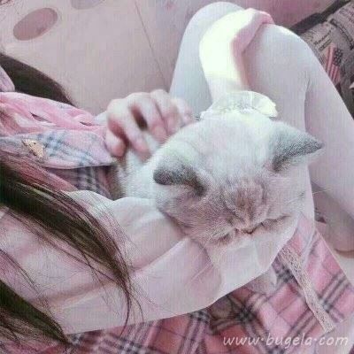 腿控女生微信头像2021年最新款图片