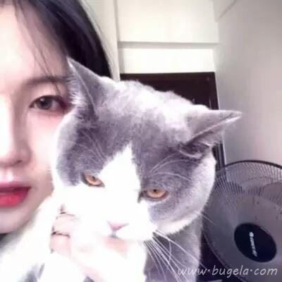 可爱萌萌哒女生微信头像2021年最新款图片