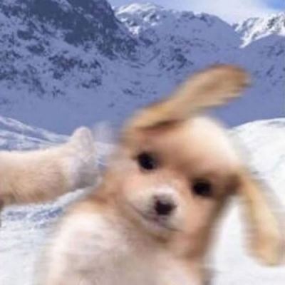 抖音上的情侣头像怎么提取 两张一半图片