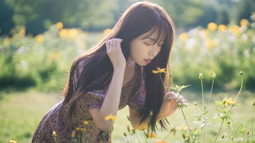 向日葵花海美女图片