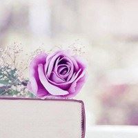 书与花的唯美头像_微信头像大全图片