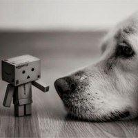 唯美创意微信头像_微信头像大全图片