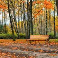 百度微信头像唯美_微信头像大全图片