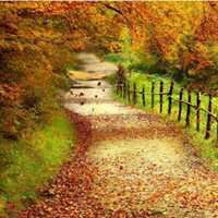 百度微信头像唯美_微信头像大全图片