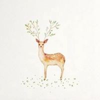 百度微信头像唯美_微信头像大全图片