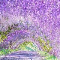 唯美浪漫的日本花海治愈系风景头像_微信头像大全图片