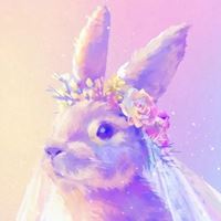 唯美闪动闪动的静物头像_微信头像大全图片