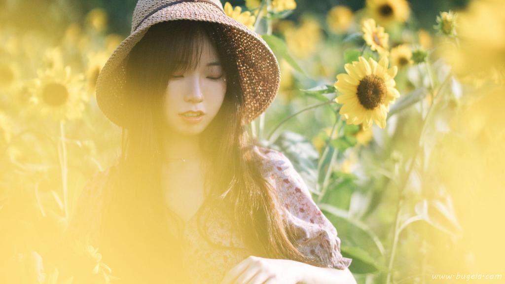 向日葵花海美女图片