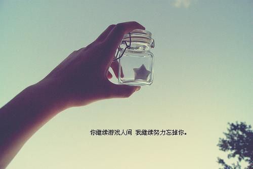 意境小清新带字精选合辑图片