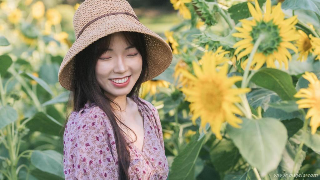 向日葵花海美女图片