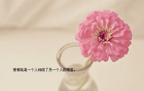意境小清新带字精选合辑图片