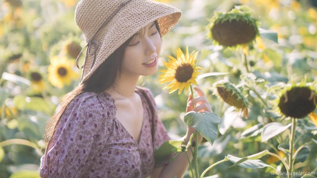 向日葵花海美女图片